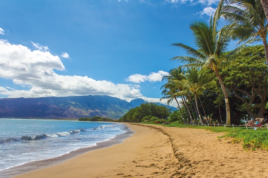 Environment and Adventure in Hawaii